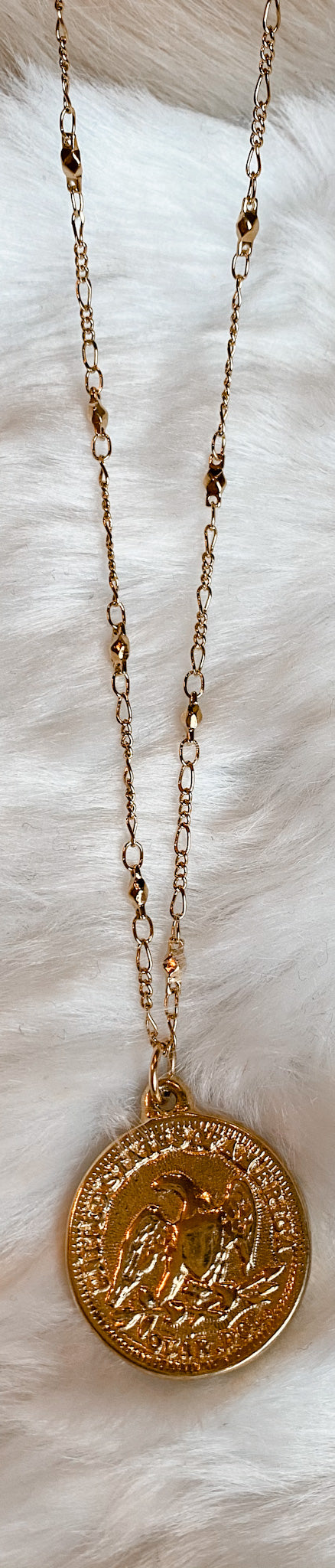 USA coin Necklace